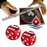 Remote Control Dice with Magnetic Dice Board