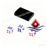 Induction Dices for Magic Show